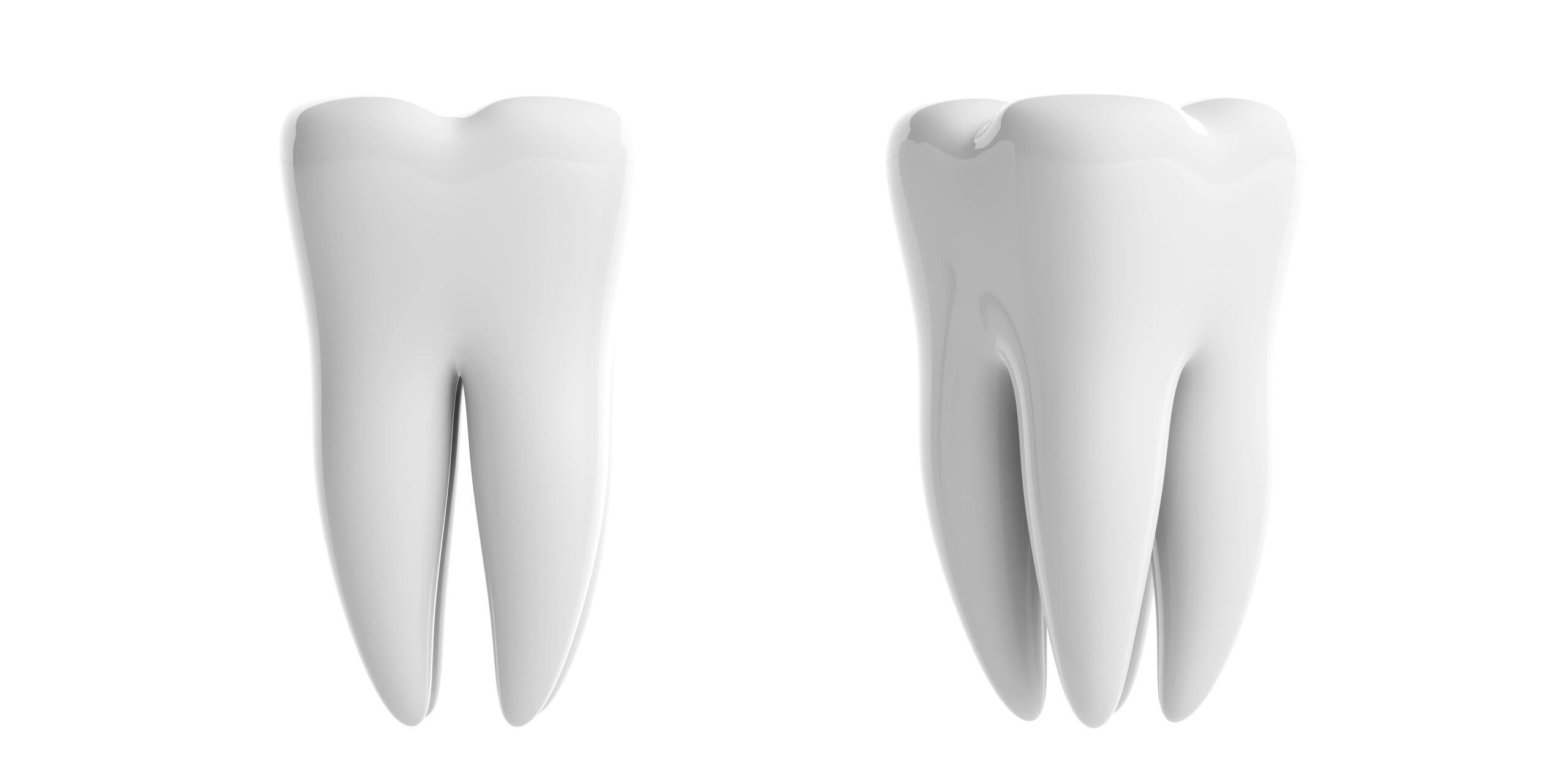 Side-by-side illustration of a baby tooth and an adult tooth isolated on a white background