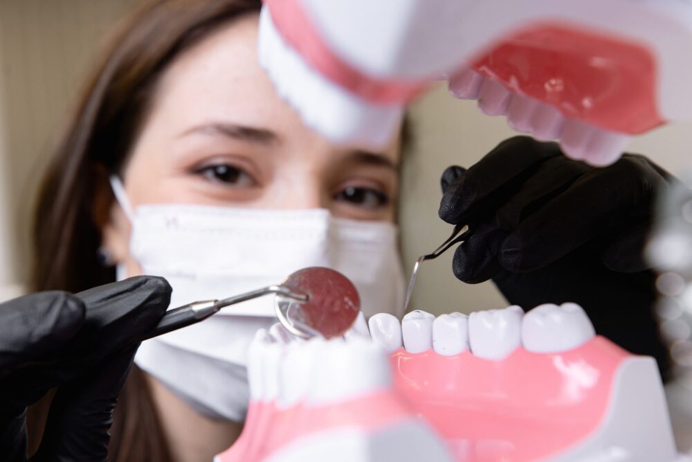 Female dentist demonstrating a dental bonding technique using a plastic tooth model