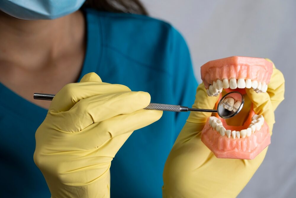 Dentist examining a tooth decay model using a dental mirror